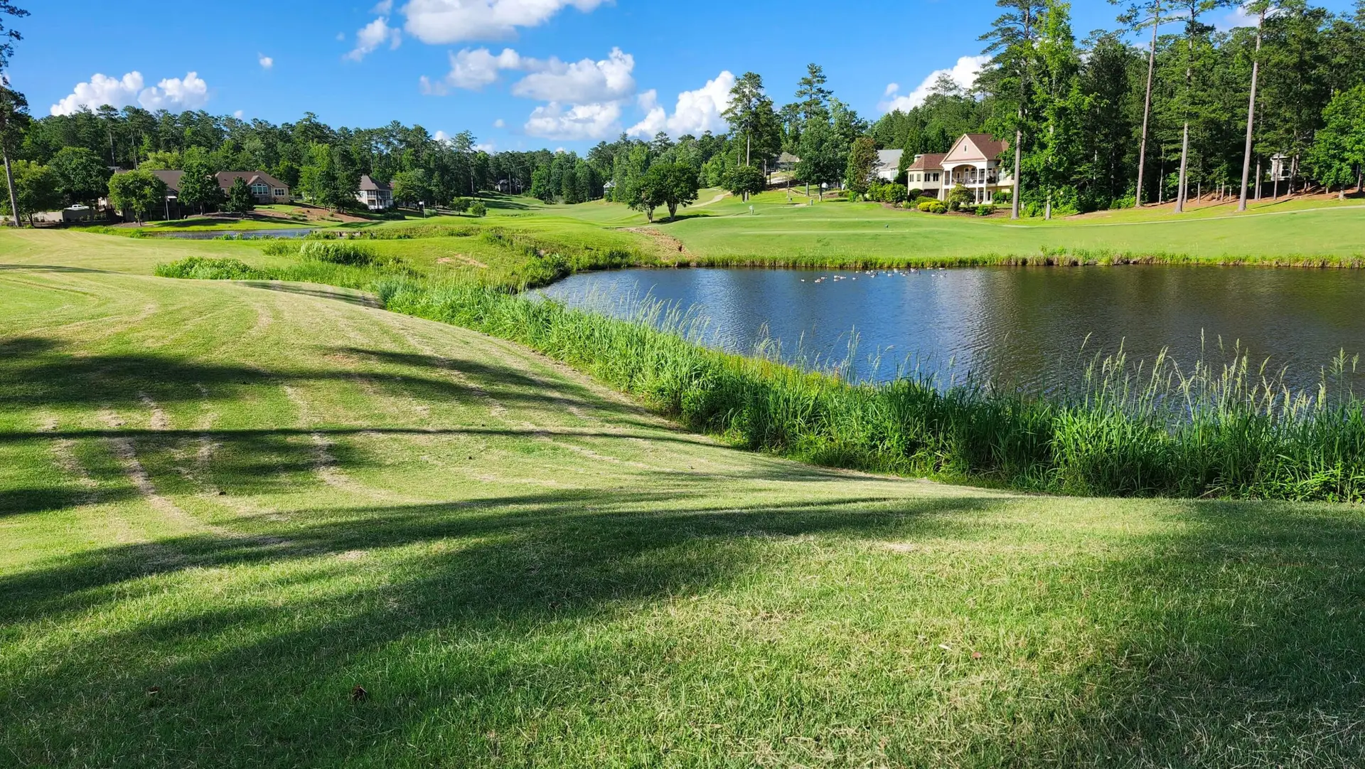 Trail, golf, or sunset scene near Lake Thurmond